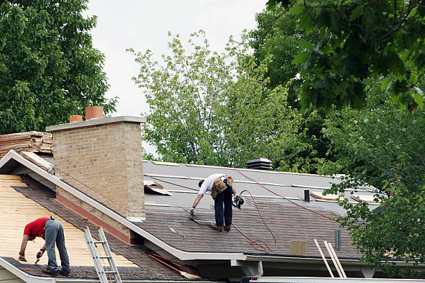 Best Shingle Roofing Installation  in Shenandoah, IA