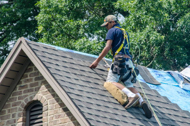 Professional Roofing Contractor in Shenandoah, IA